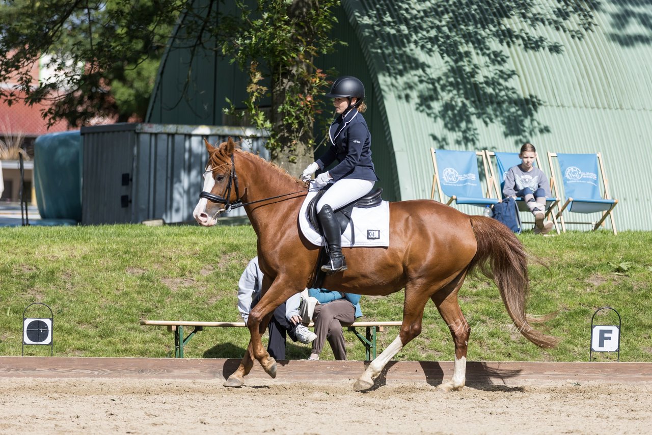 Bild 157 - Pony Akademie Turnier